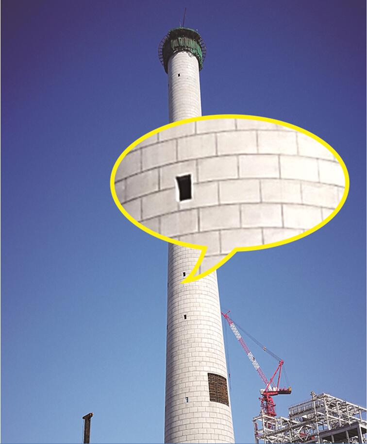 1504860429290341.jpg 3.jpg