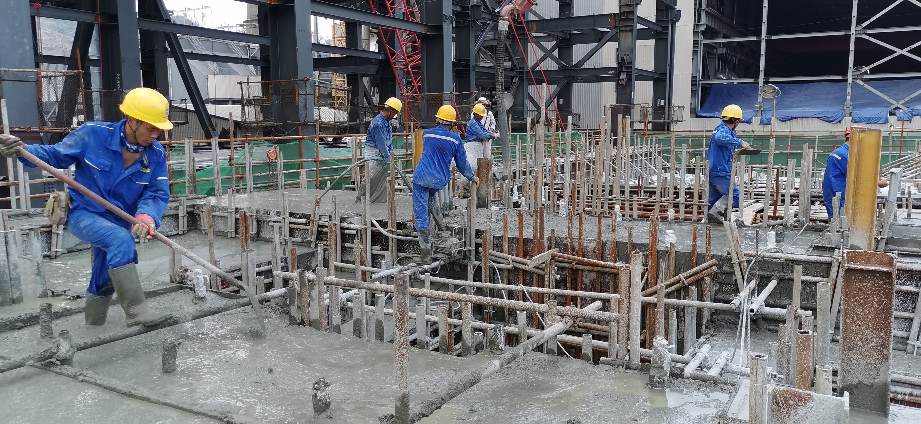 1575509188956834.jpg 1.jpg