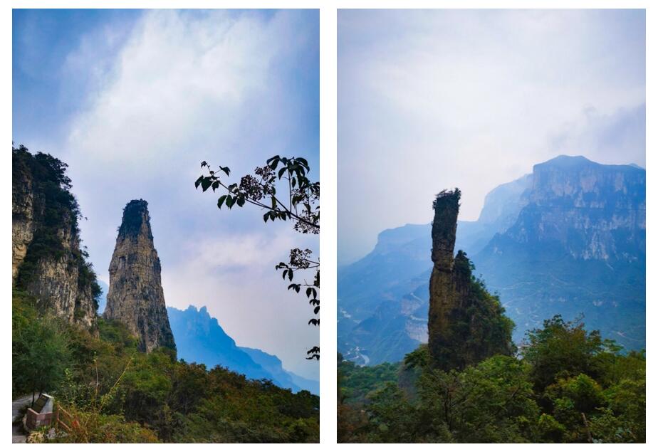 1601458794883692.jpg 3.jpg